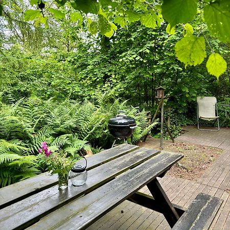 Chalet Scandinave Avec Sauna Ir - In The Woods Gesves Extérieur photo