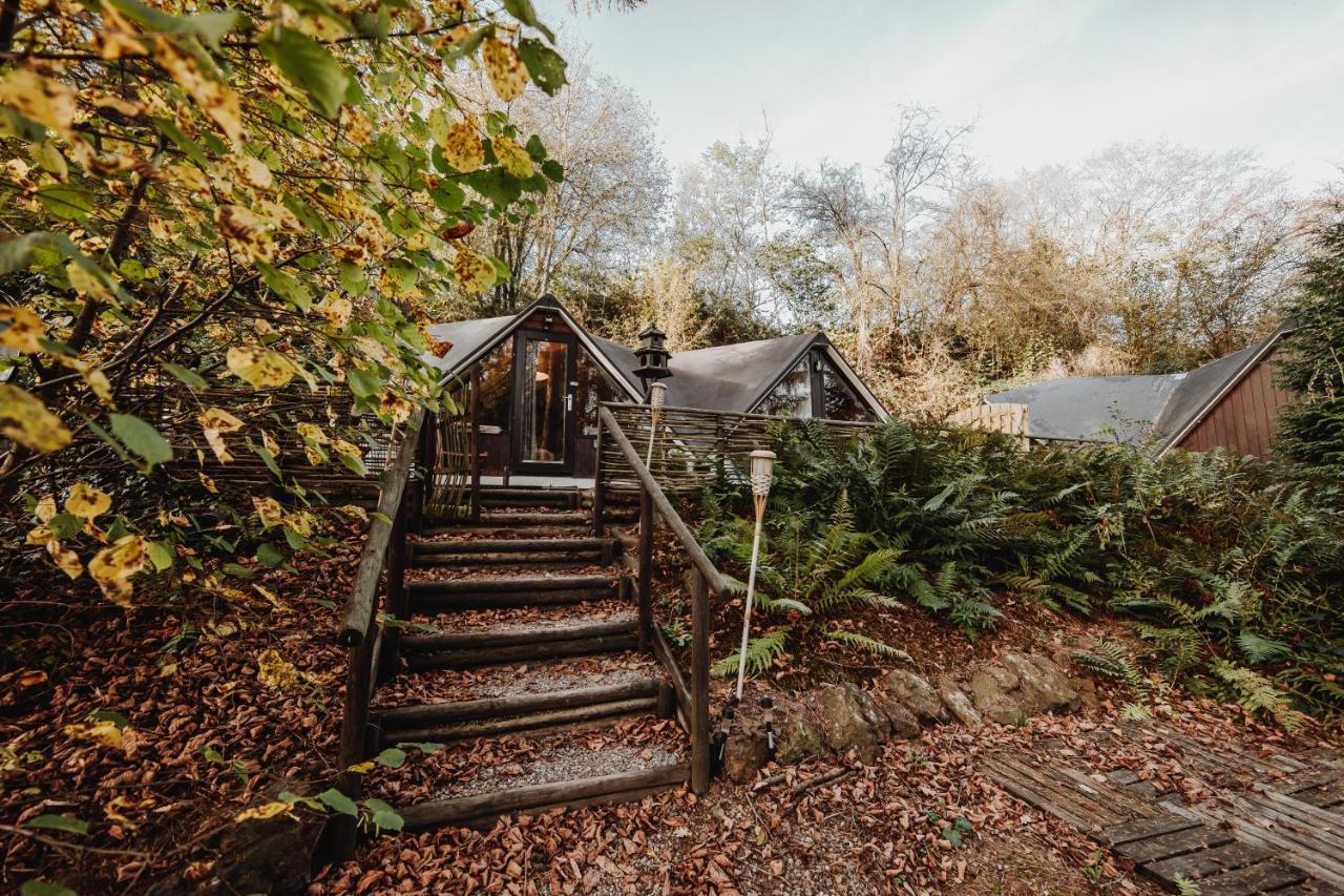 Chalet Scandinave Avec Sauna Ir - In The Woods Gesves Extérieur photo